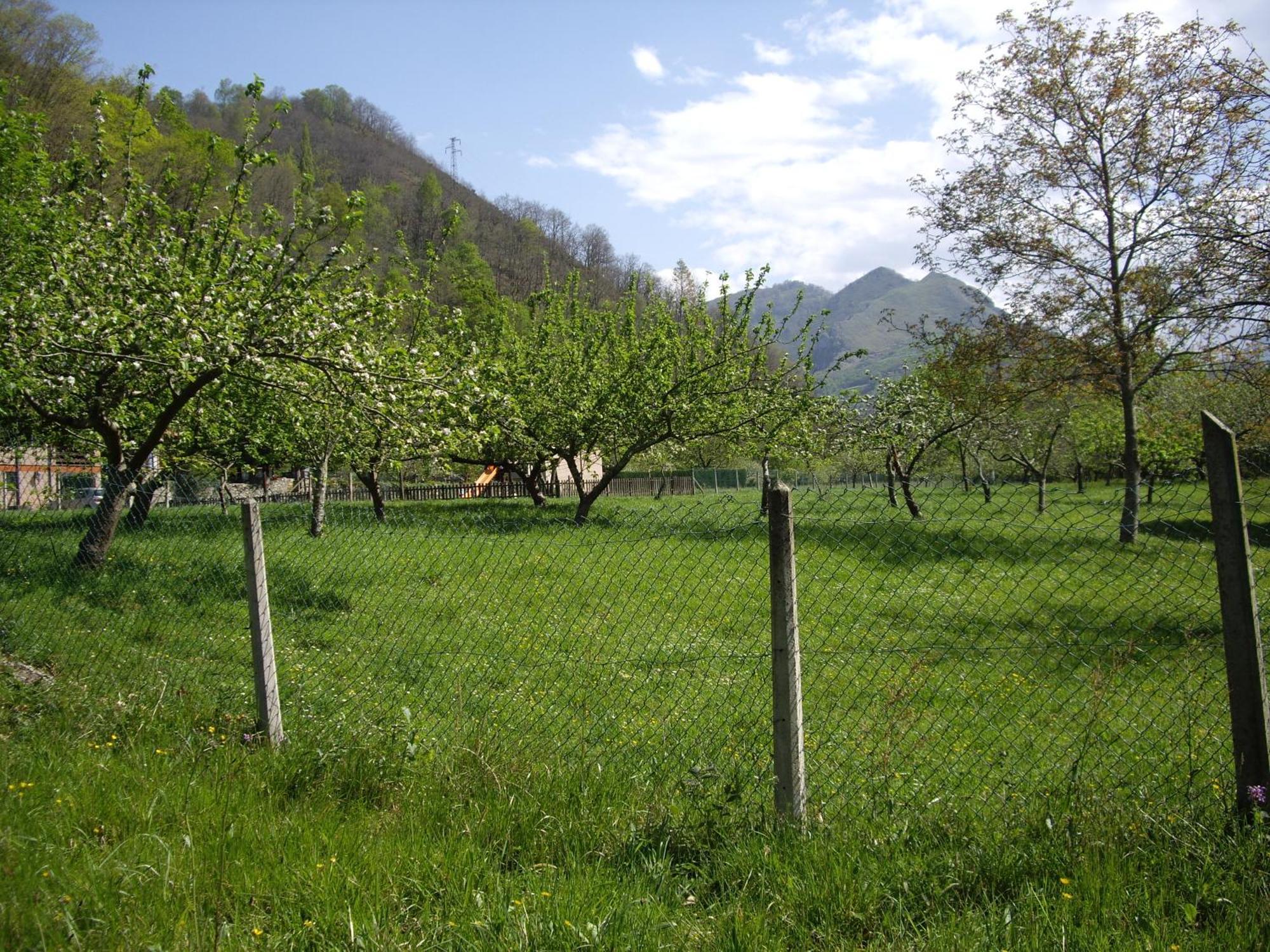 Casa Rural El Canton Onís 外观 照片